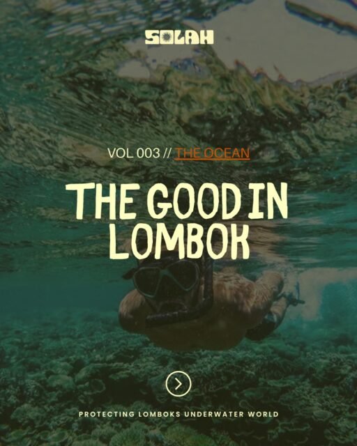Vol 03 // is about Marine Conservation & our Oceans 🌊🐠🪸

Highlighting the people and projects in Lombok working to protect reefs, beaches, sea life, and the future of our coastline 💙

From turtle protection to mangroves, seaweed farming, and ocean clean-ups — this is community in action. They all deserve real support.

Show them some love, follow their work, and support where you can 🌺

Did we miss anyone? What else do you want to know? Let us know!! 💗